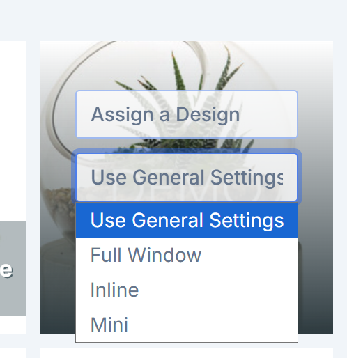 The product-specific display mode setting for a BigCommerce product