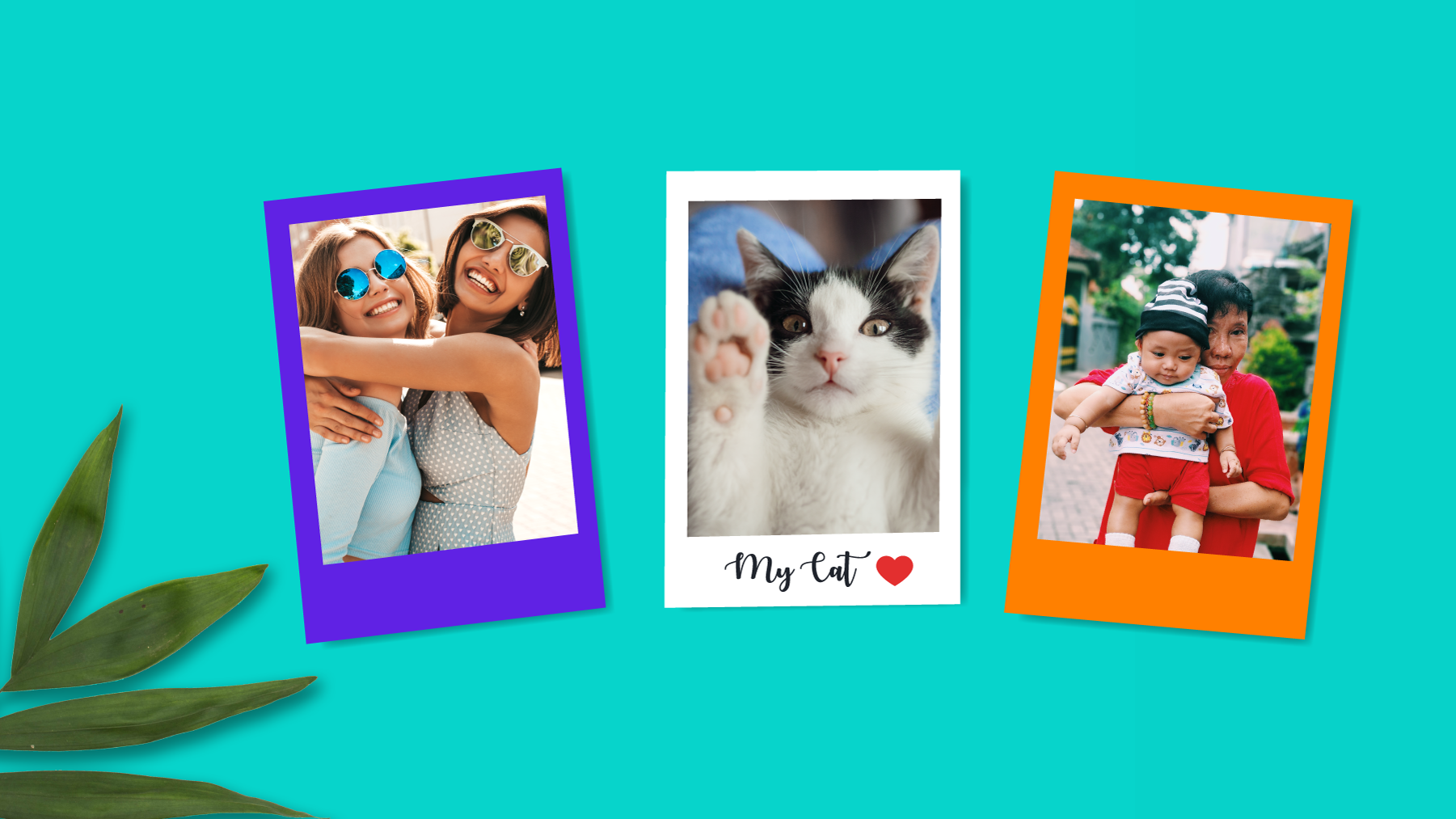 A photo print with a retro border, caption and coloured background