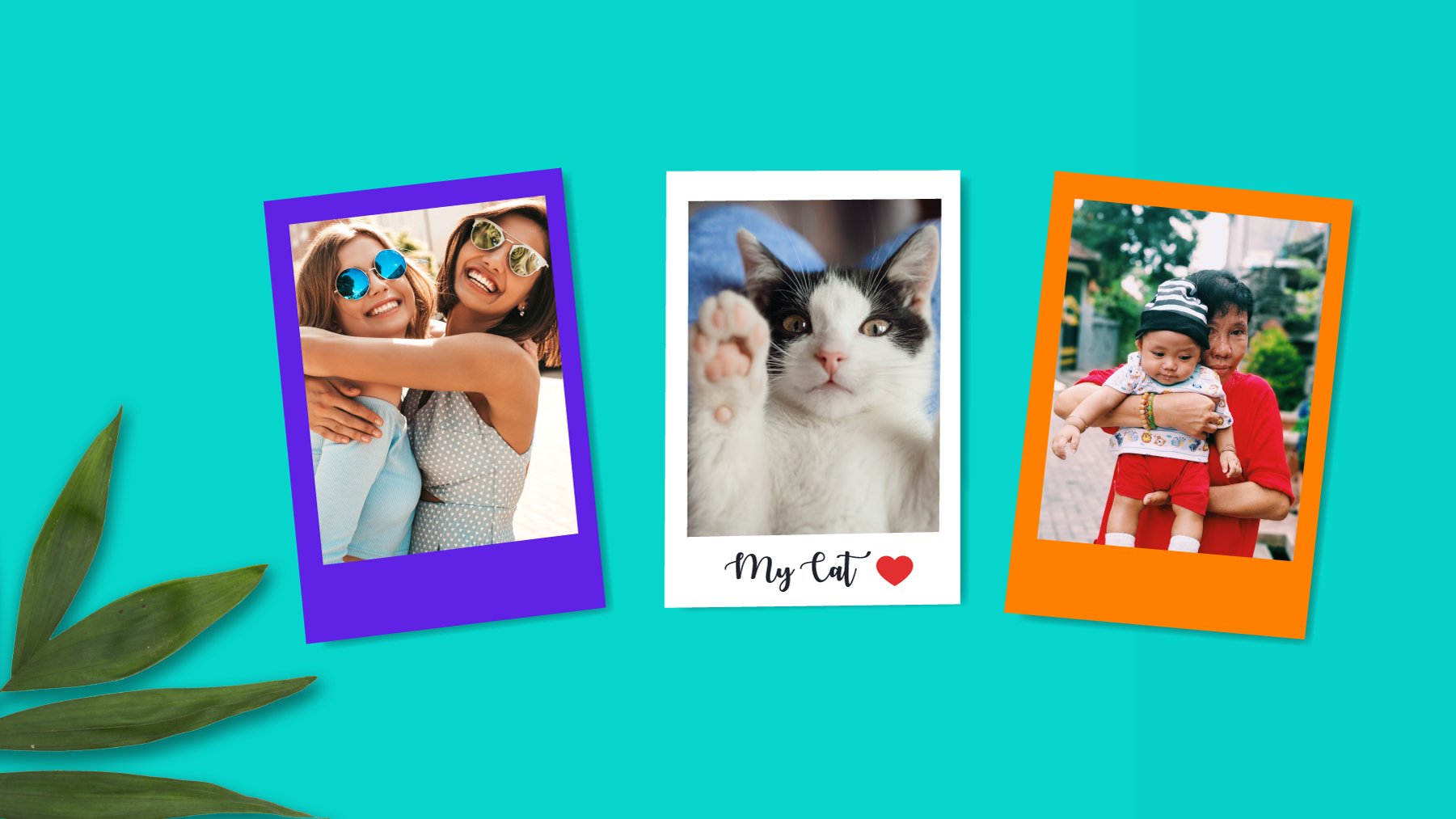 A photo print with a retro border, caption and coloured background