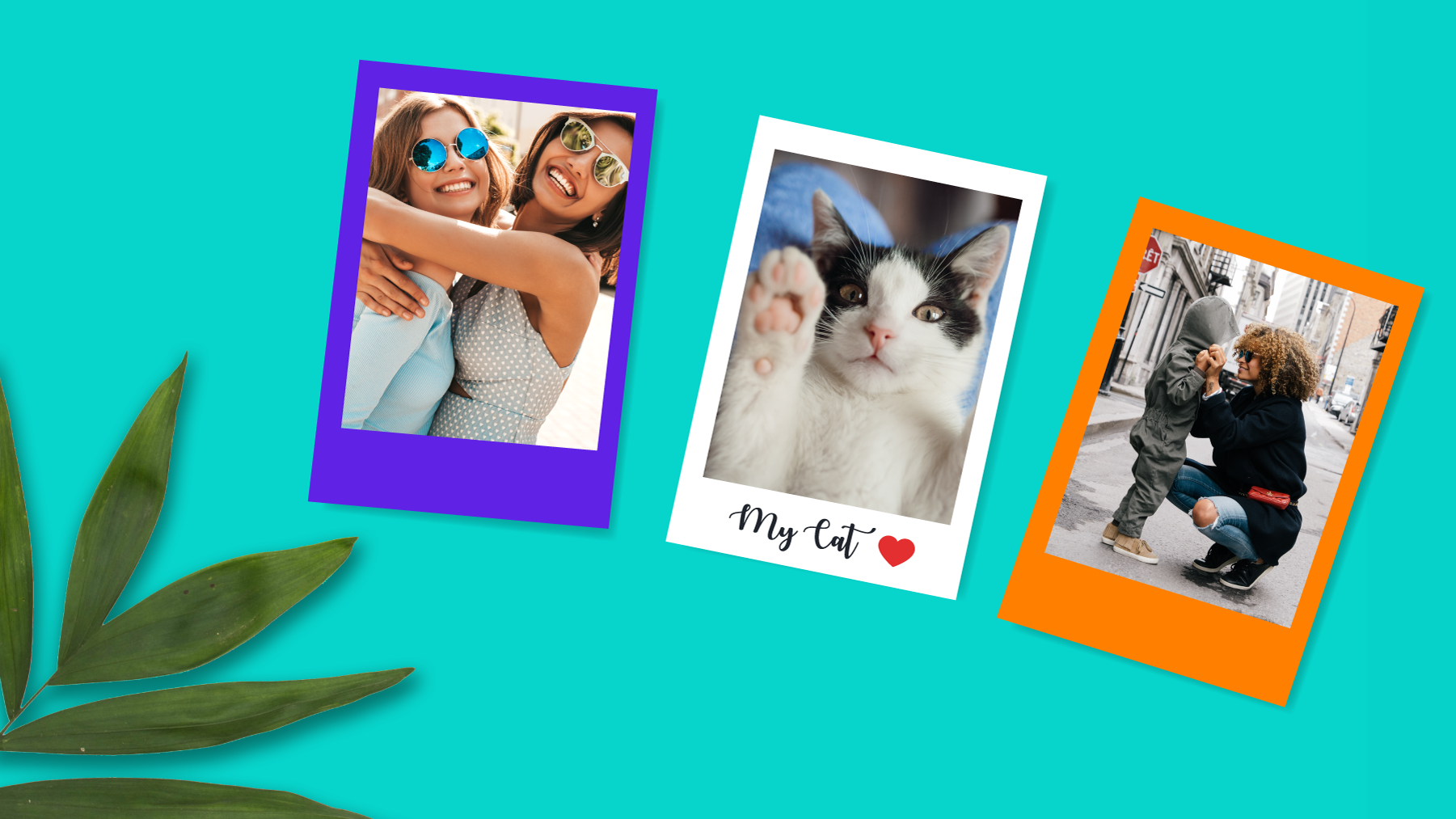 Cover graphic for the Photo Print module update