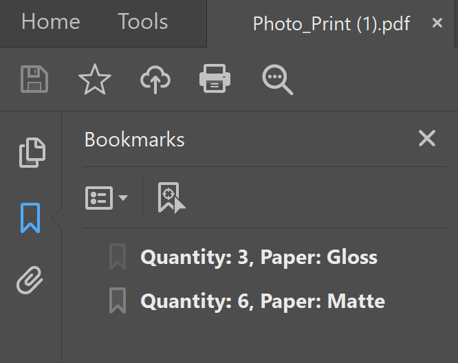 PDF bookmarks showing the paper type and quantity chosen in the Photo Module