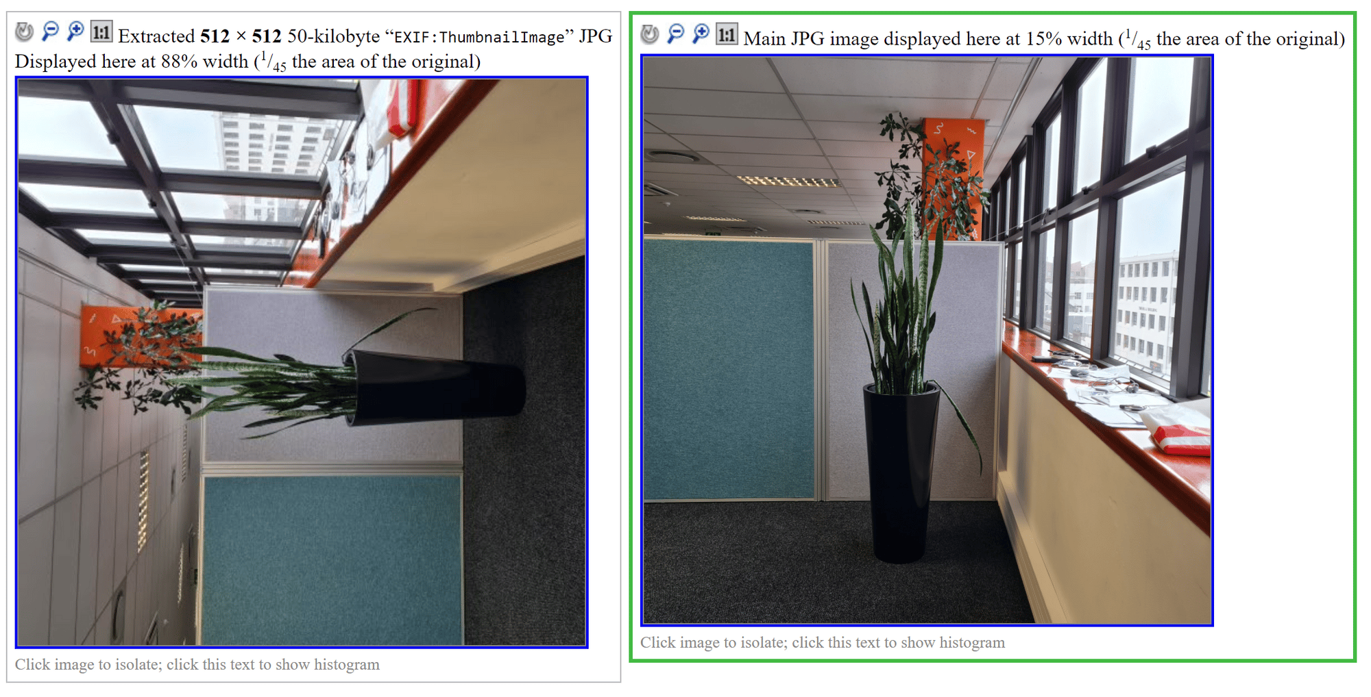 One photo shown without auto-rotation and again with auto-rotation applied