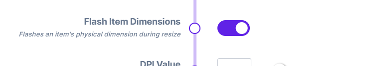 The design option for displaying item dimensions, enabled before saving