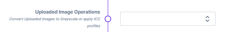 The Uploaded Image Operations dropdown in a design's configuration