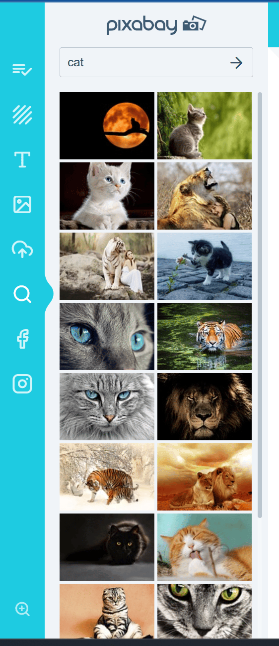 The editor left panel with the scroll bar restored for reaching more images