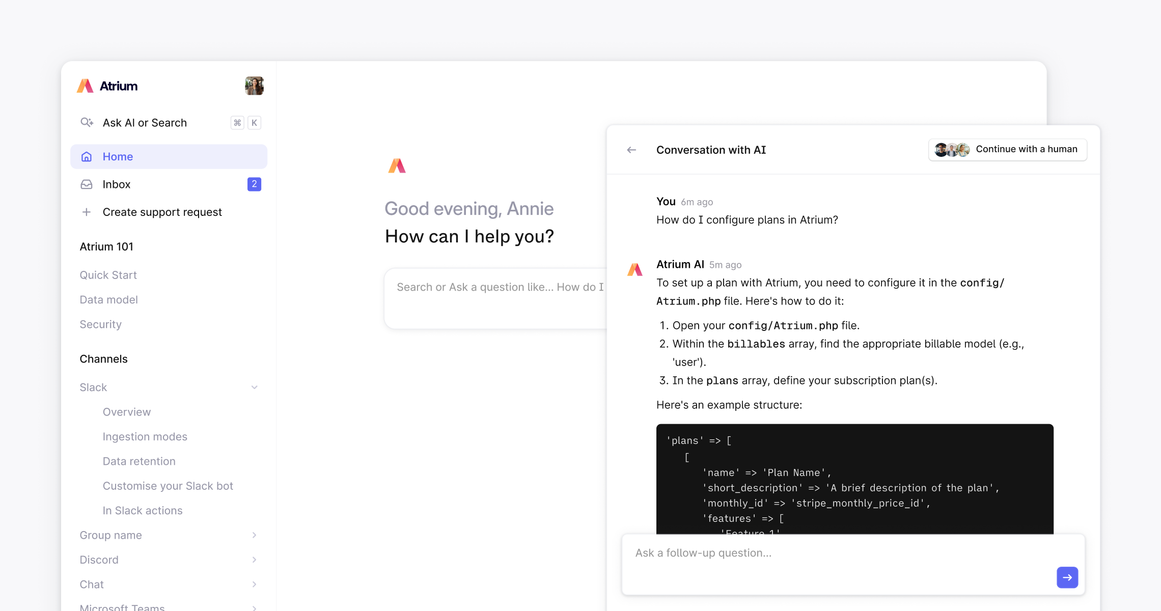 Ask AI in Plain