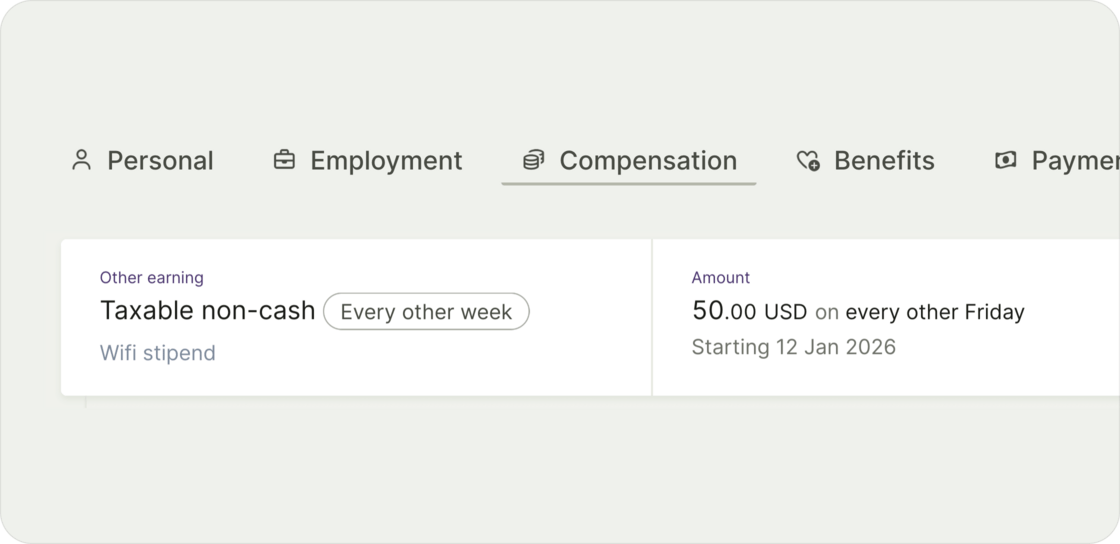 Payroll support for taxable non-cash earnings like fringe benefits