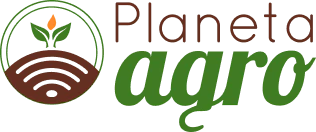 Shop Logo