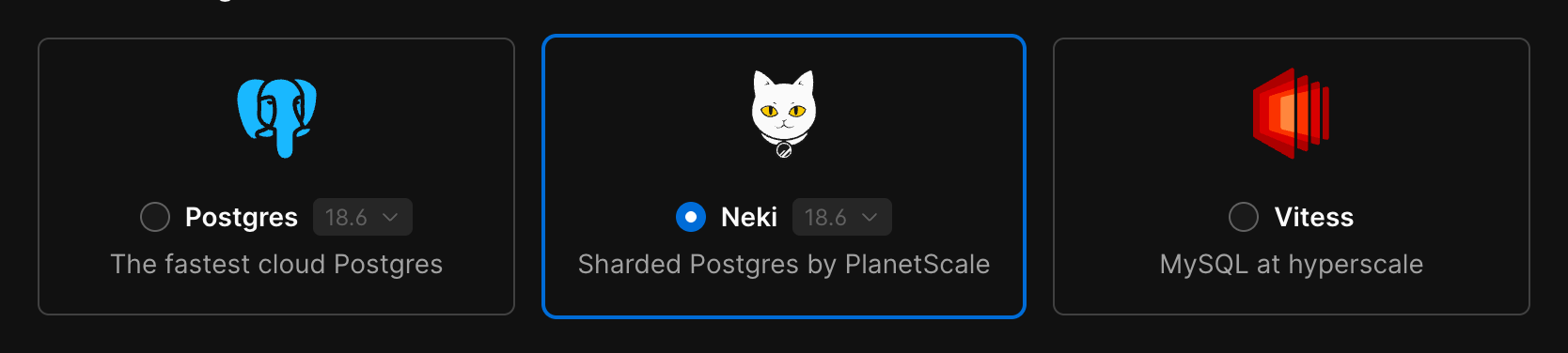 Create database form with the Neki engine selected