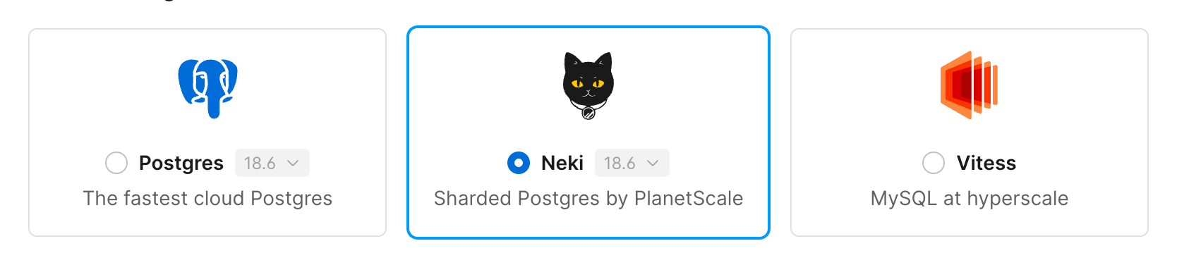 Create database form with the Neki engine selected