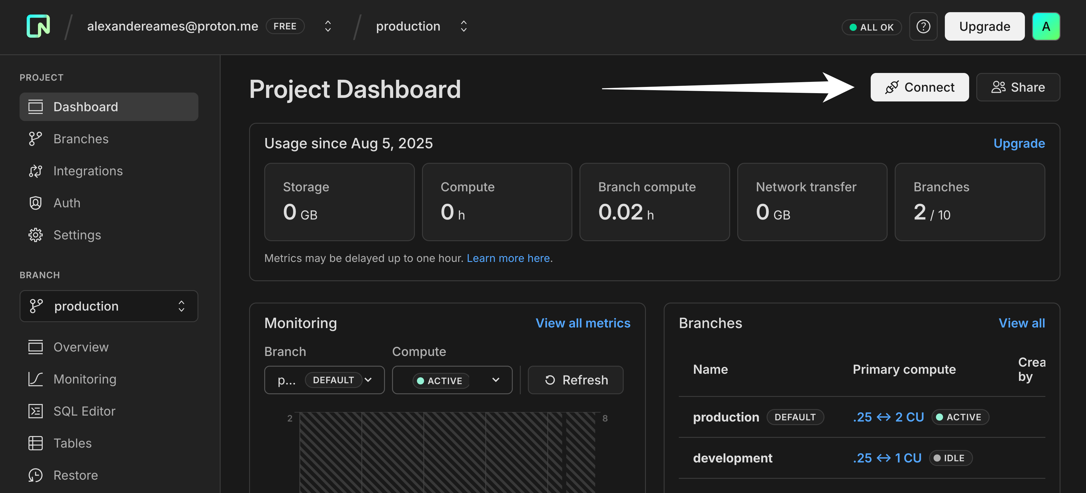 Neon dashboard connect