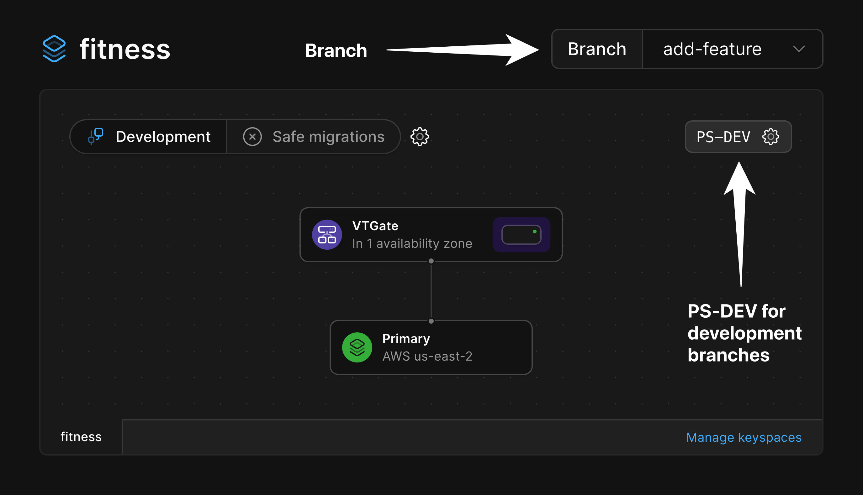 Development branch architecture