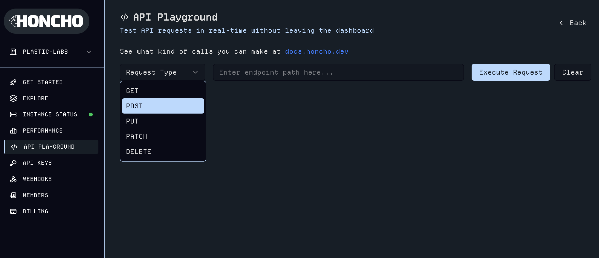 API Playground Interface