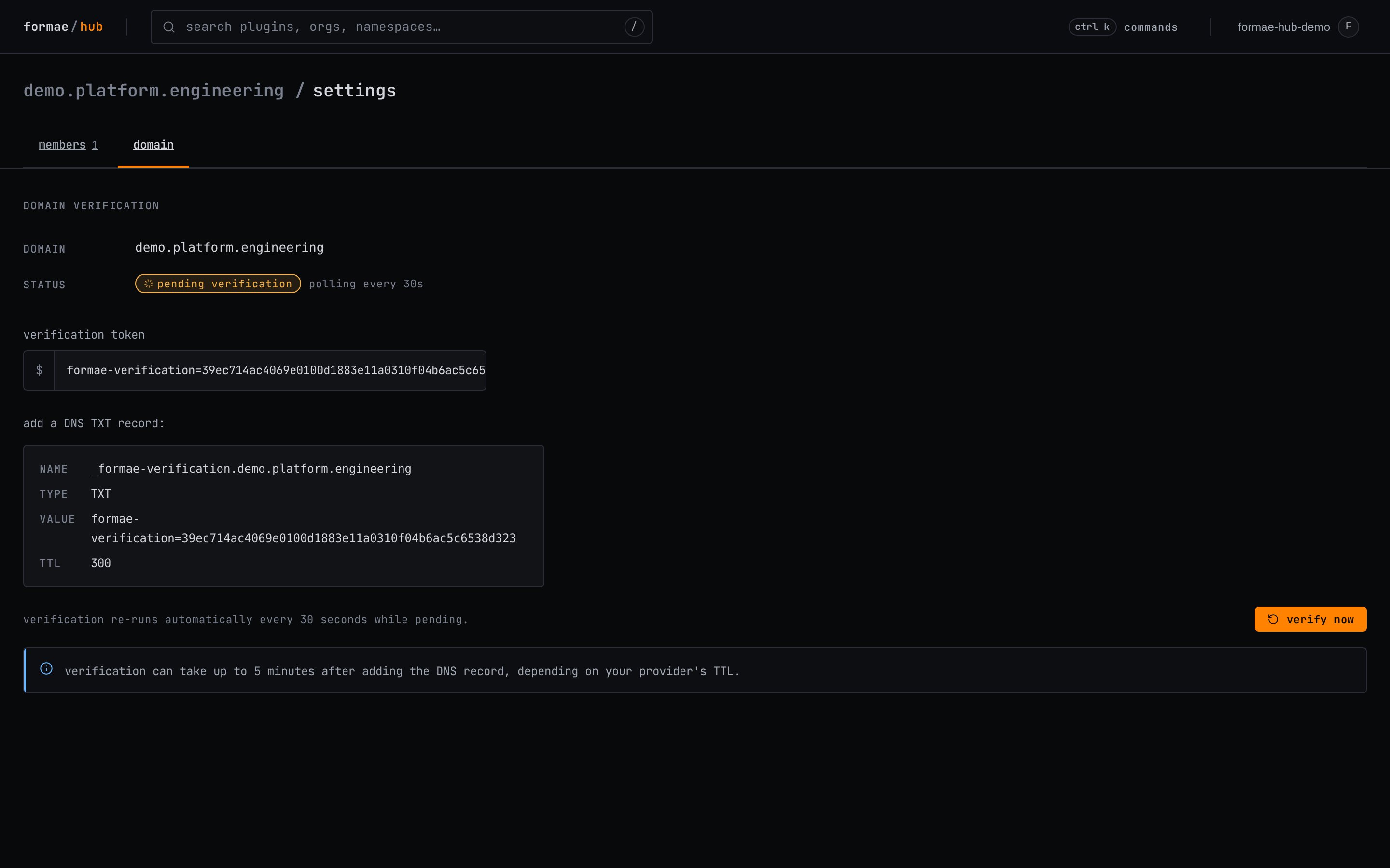 Domain verification pending, showing the DNS TXT record to add