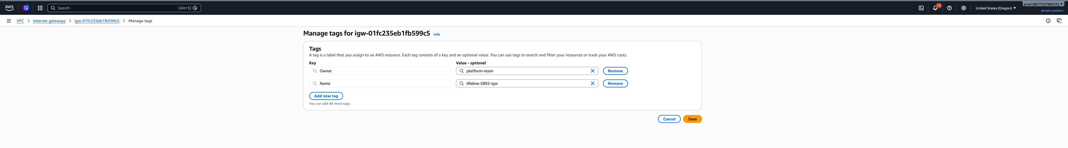 The AWS console tag editor adding an Owner tag to the lifeline internet gateway