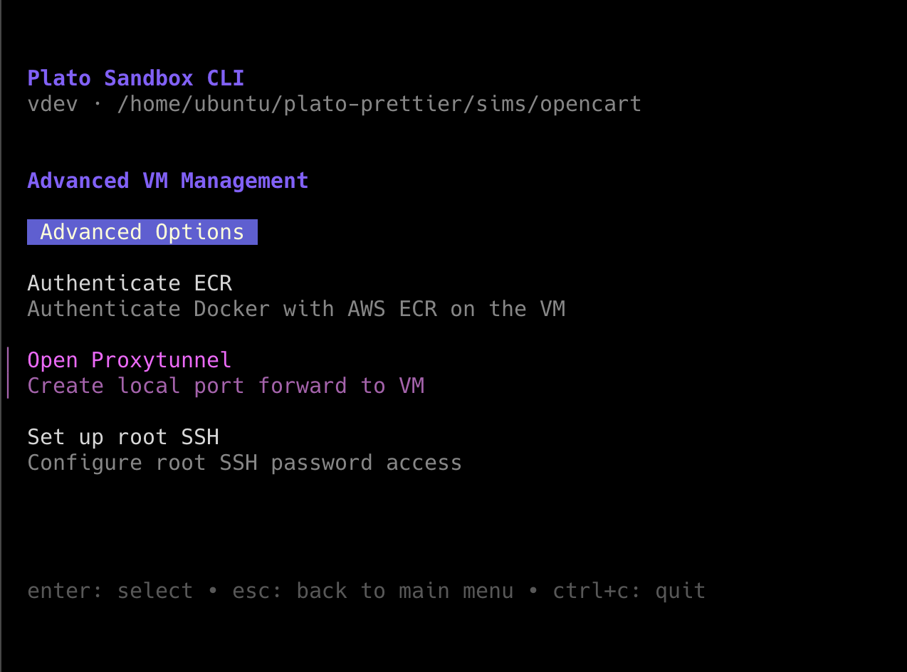Advanced VM Management