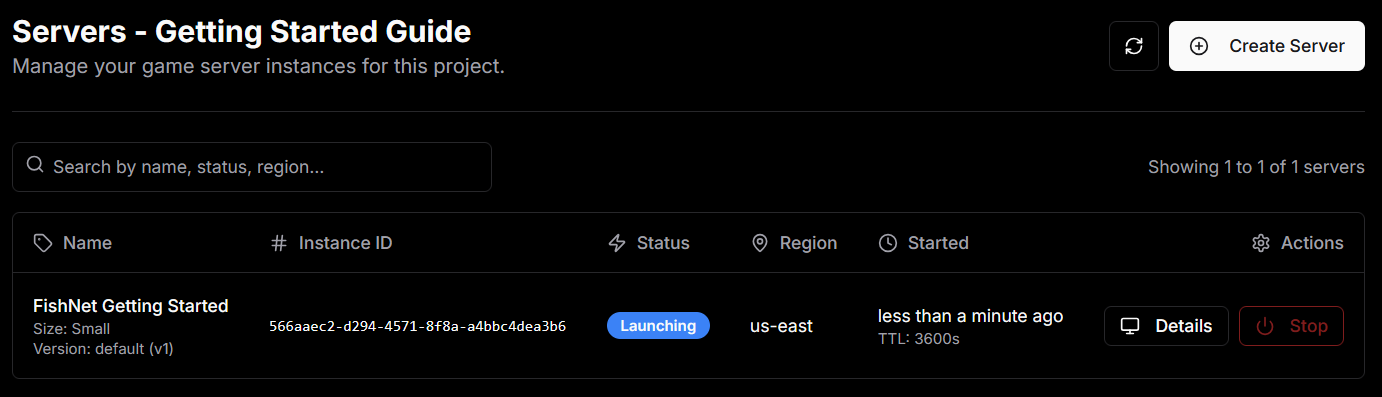 Launching Servers View