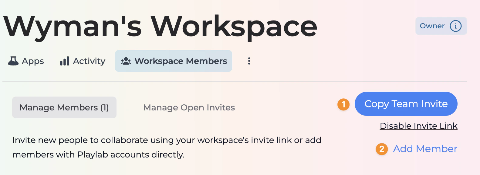 Workspace members