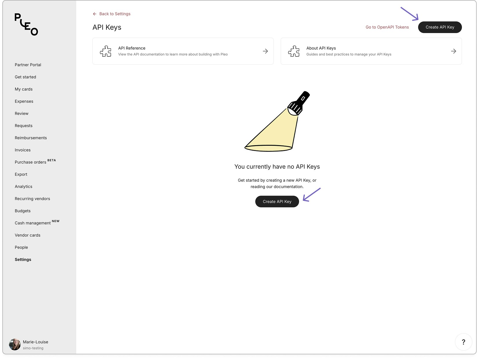 getting started create api key settings