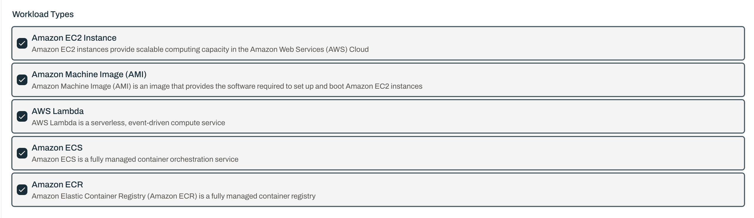 Workload Types section with Amazon EC2, AMI, AWS Lambda, Amazon ECS, and Amazon ECR selected