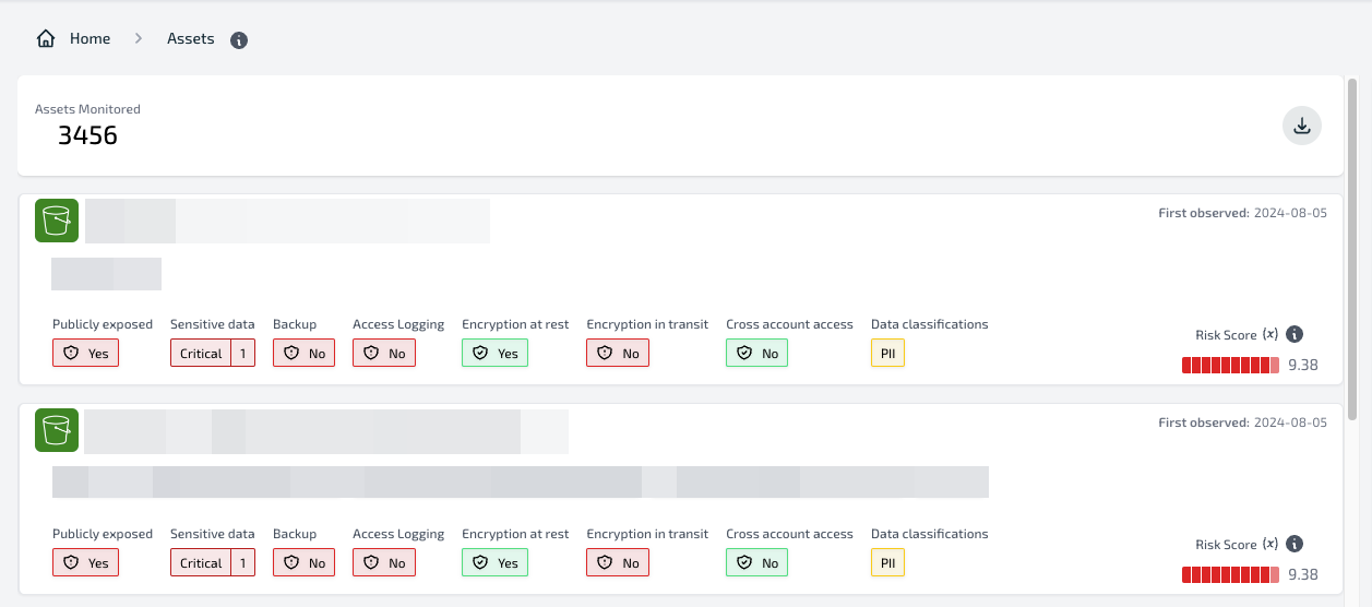 Asset entry with attributes and risk indicators