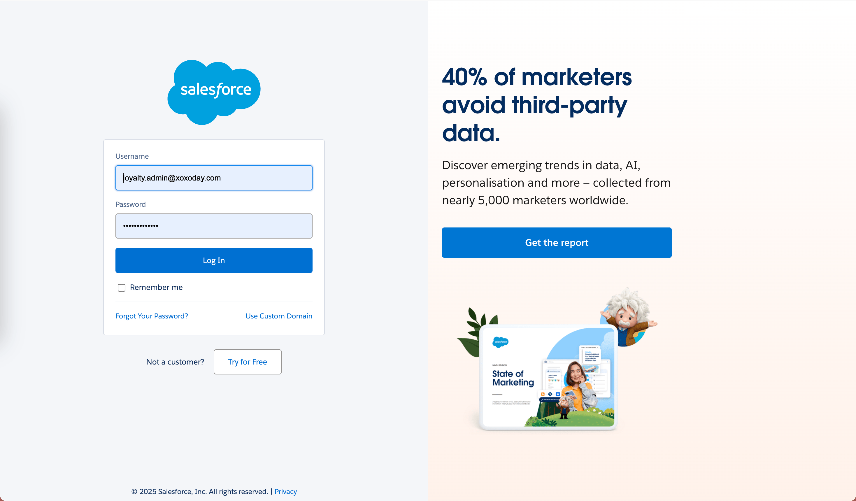 Salesforce Authorization Screen