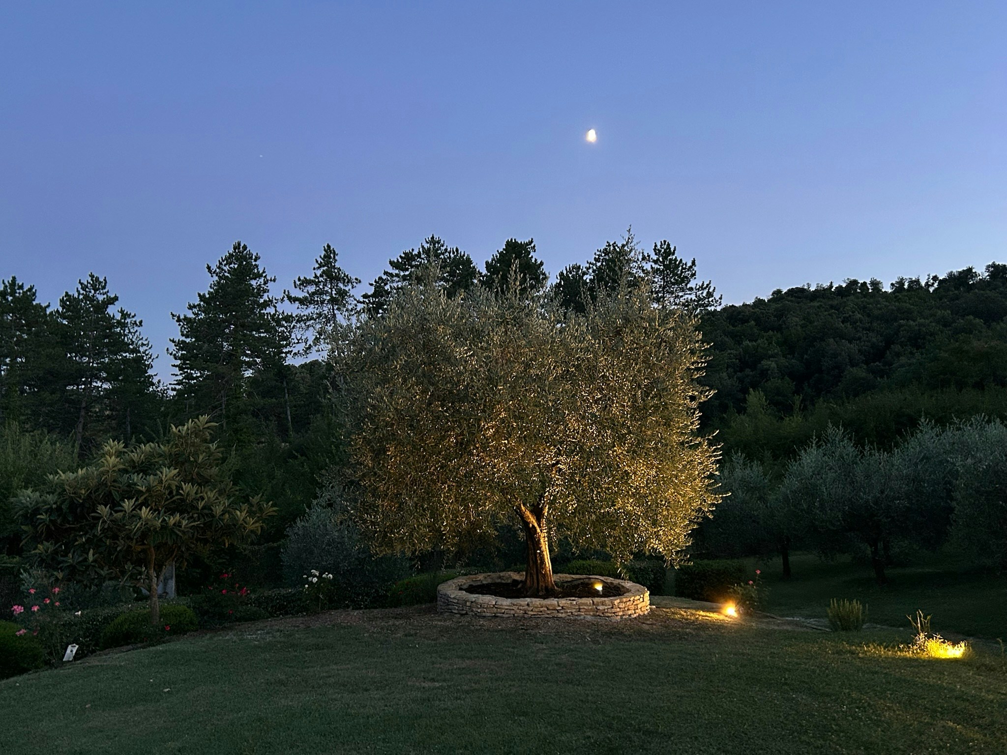 Rolling Tuscan hills at sunset