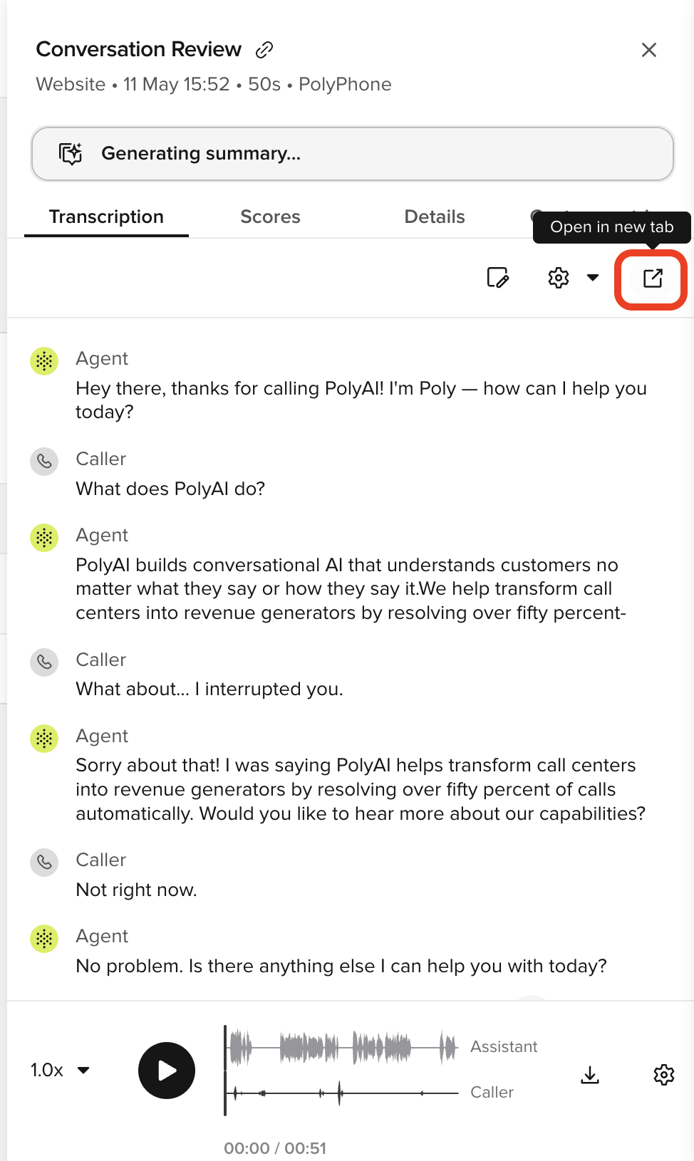 Conversation Review side panel with the Open in new tab icon highlighted in the panel toolbar