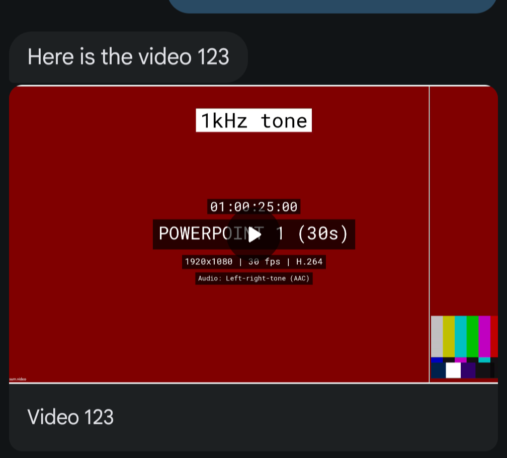 Video Image