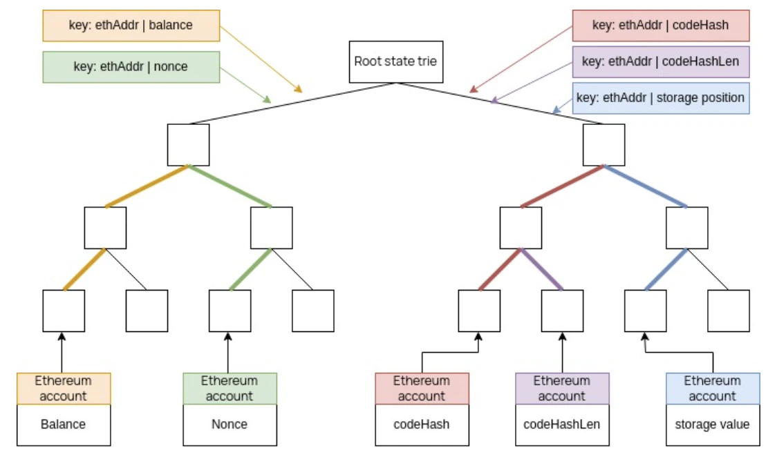 A simplified Polygon zkEVM's state trie