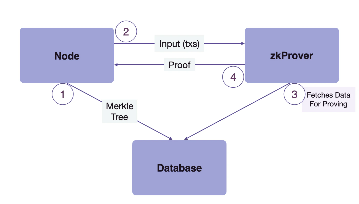 zkProver, the Node, and Database