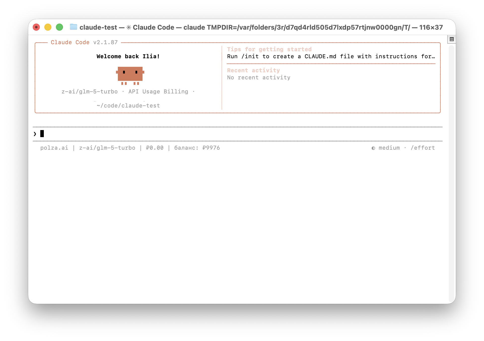 Приветственный экран Claude Code с подключённым Polza.AI