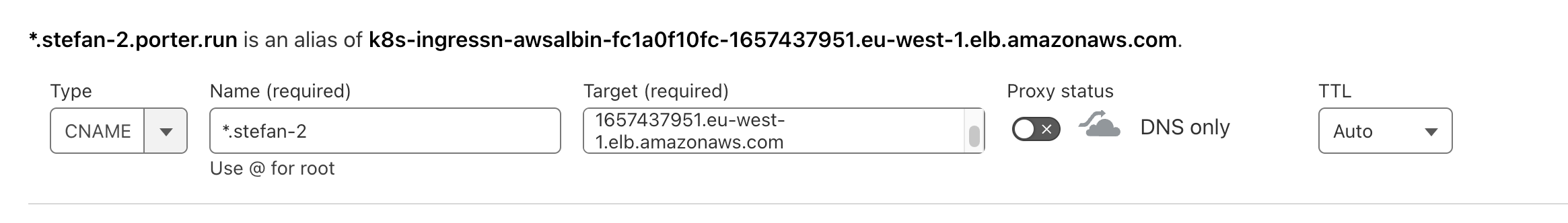 Completed DNS Wildcard Record