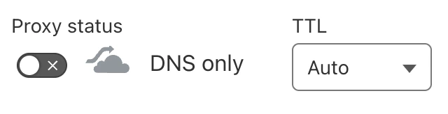 DNS Only