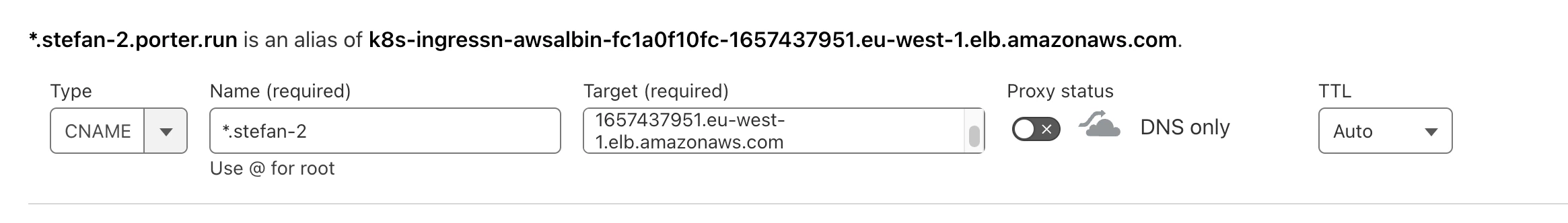 Completed DNS Wildcard Record