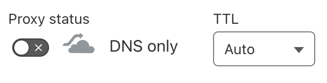 DNS Only