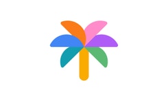 Google Palm
