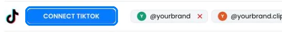 The TikTok row on the Accounts page with the Connect TikTok button