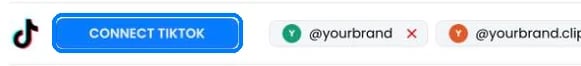The TikTok row on the Accounts page with the Connect TikTok button
