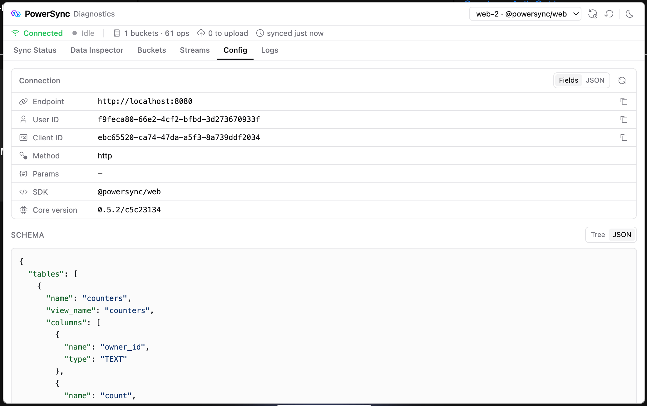Config tab with connection details and the schema as JSON