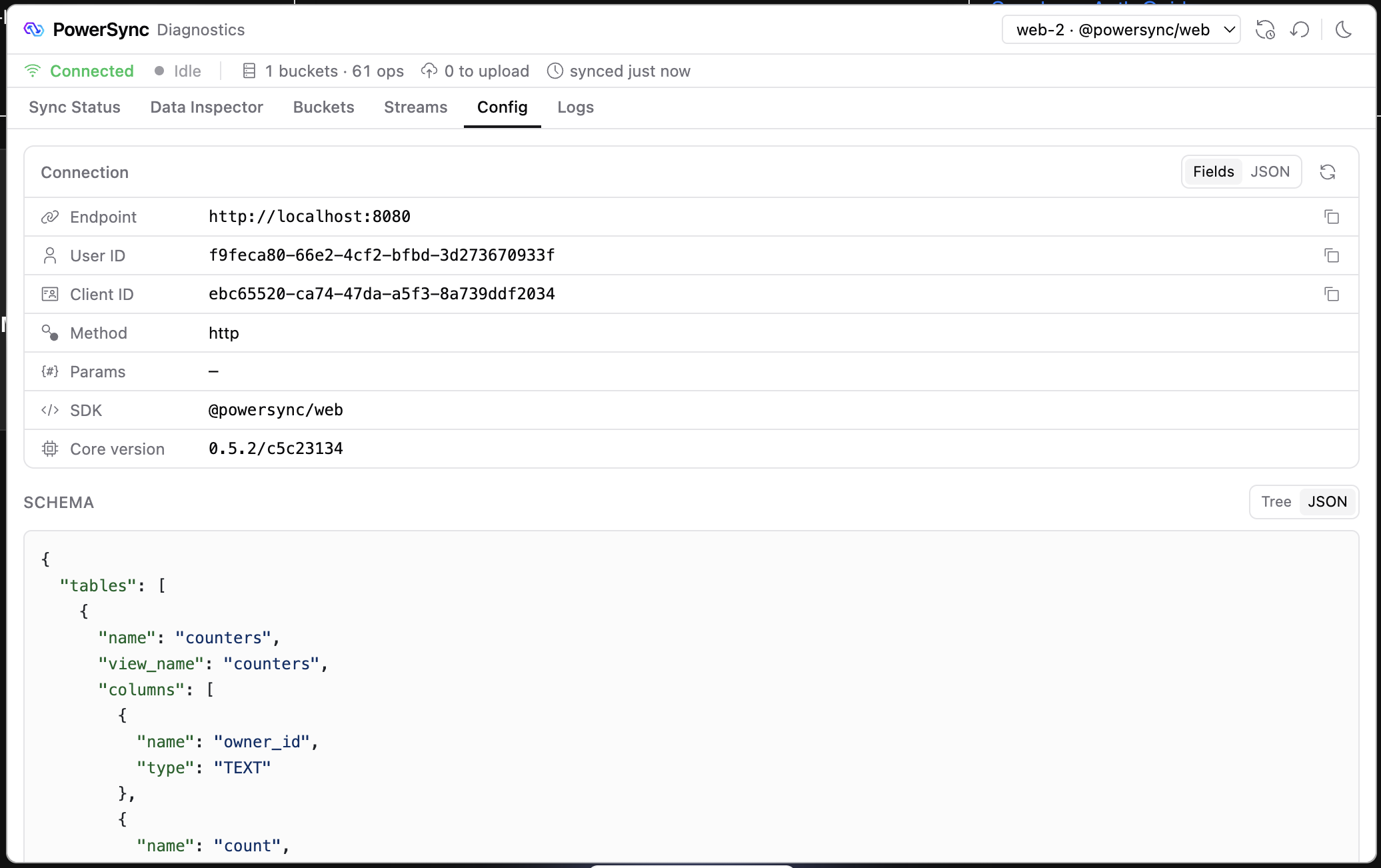 Config tab with connection details and the schema as JSON