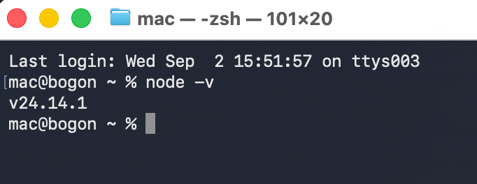 检查 Node.js 版本
