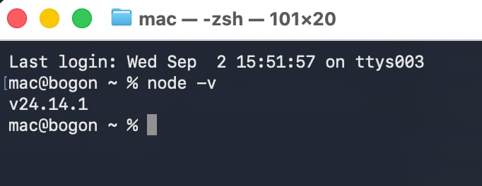 检查 Node.js 版本