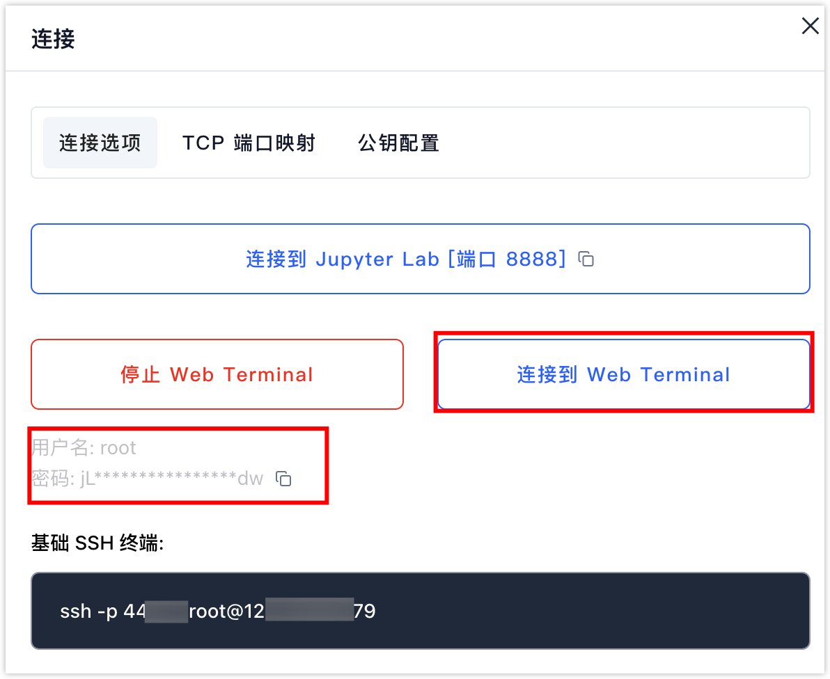 Web Terminal