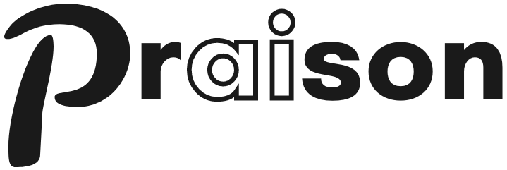 light logo