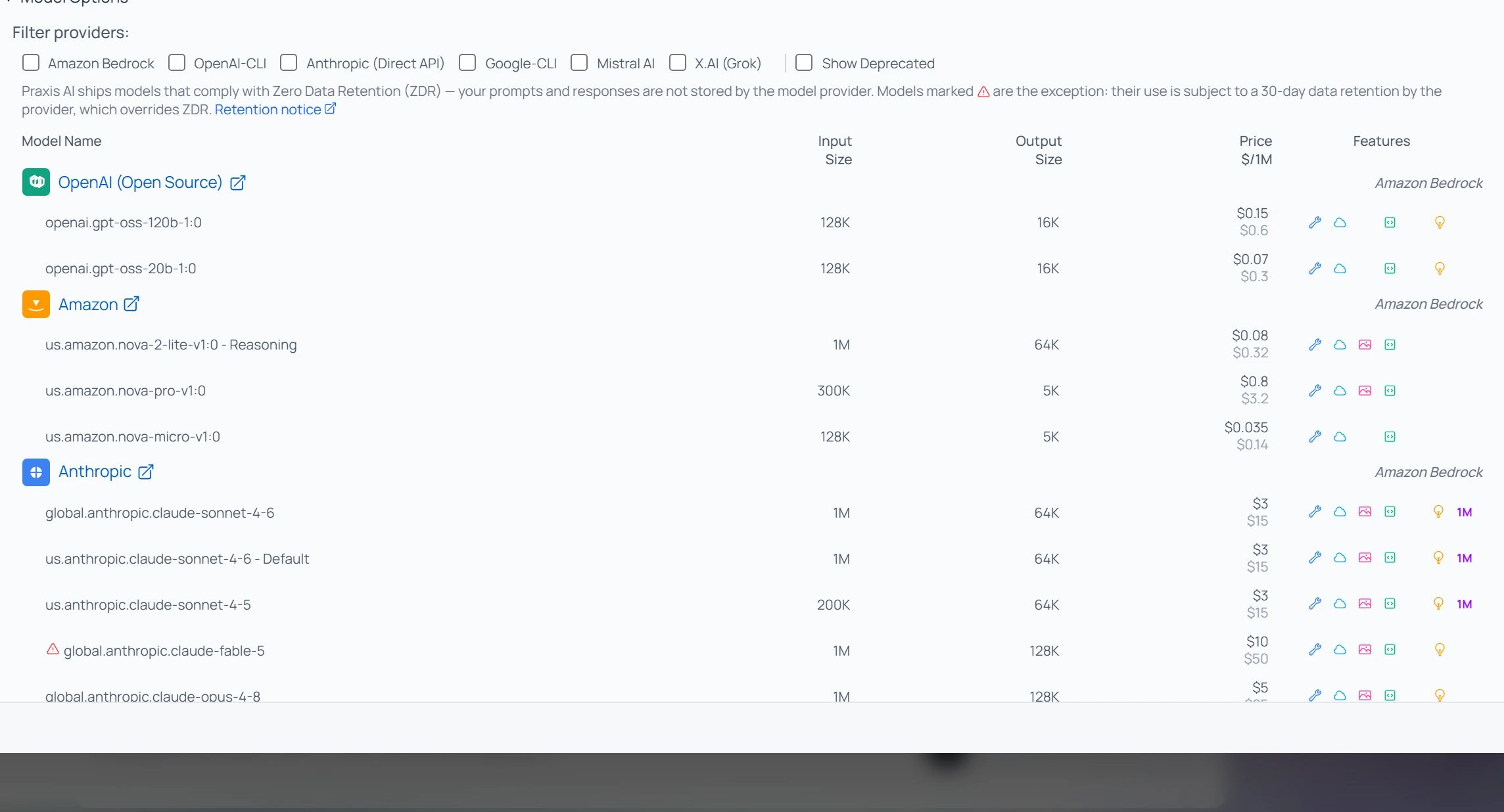 The Model Options catalog with provider filter checkboxes and a table of models from OpenAI, Amazon, and Anthropic showing input size, output size, price per million tokens, and a Features column of small icons.