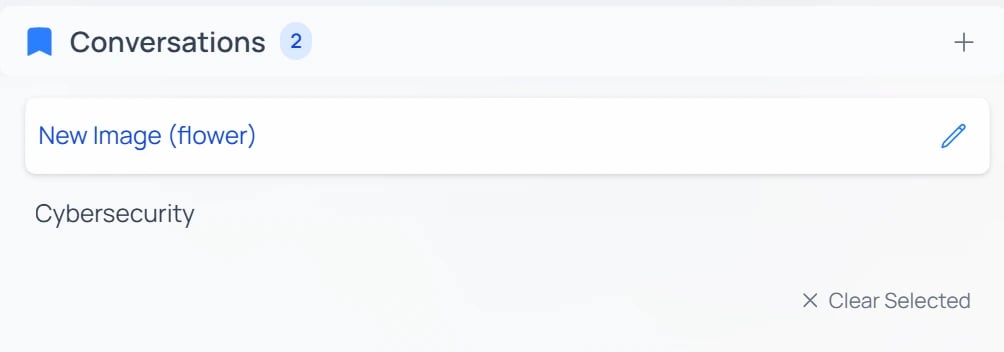 The sidebar Conversations list showing two conversations with a × Clear Selected control at the bottom-right.