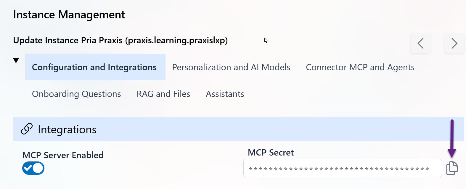 MCP Server Enabled Switch