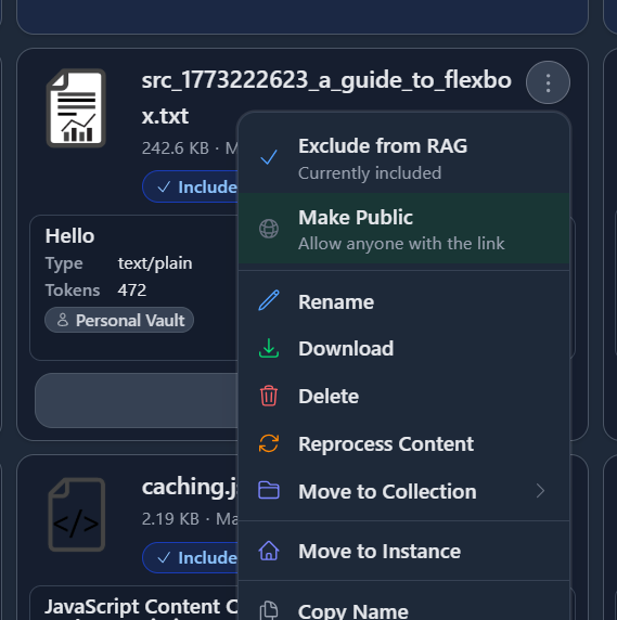 File context menu showing the Make Public action File context menu showing the Make Public action