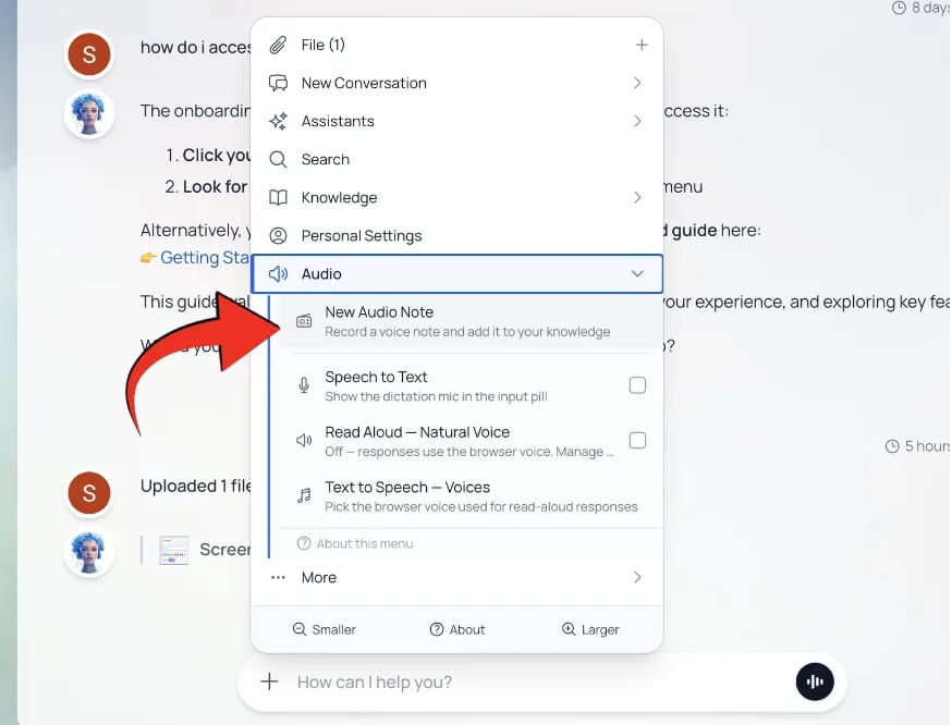 The Audio submenu with the New Audio Note button.